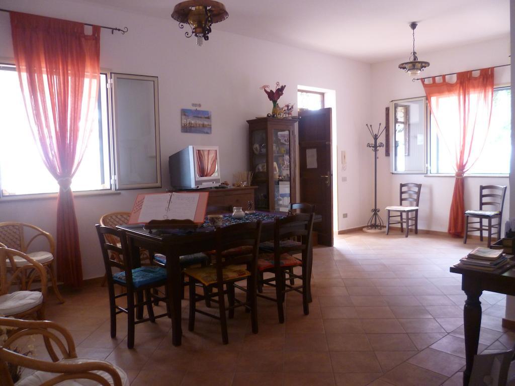 Alba Tra I Pini