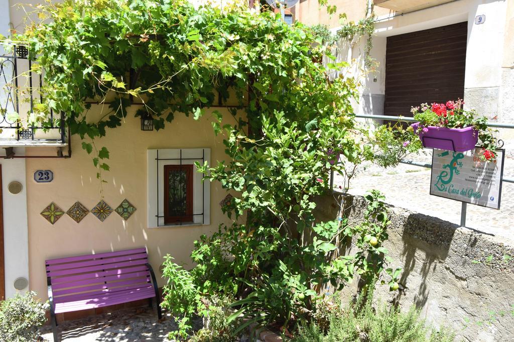 Bed & Breakfast La Casa Del Geko *