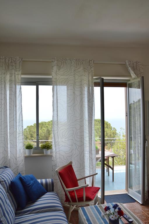 Bouganvilla