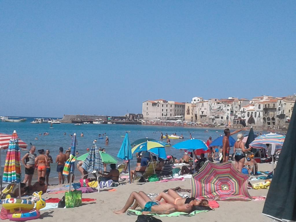Seflonia Apartment