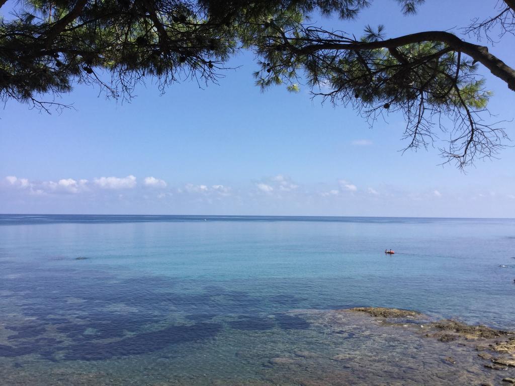 Le Terrazze Sul Mare - Capo Aranciotto *