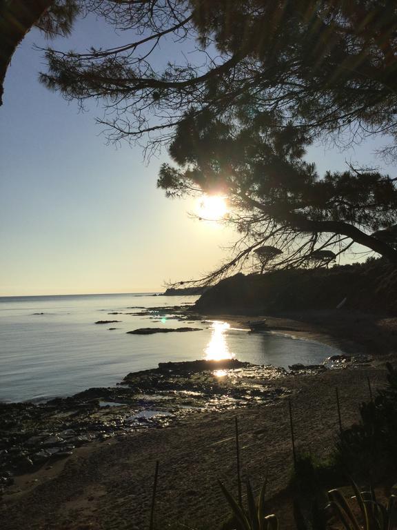 Le Terrazze Sul Mare - Capo Aranciotto
