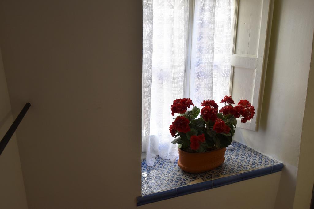 Casa Alma *