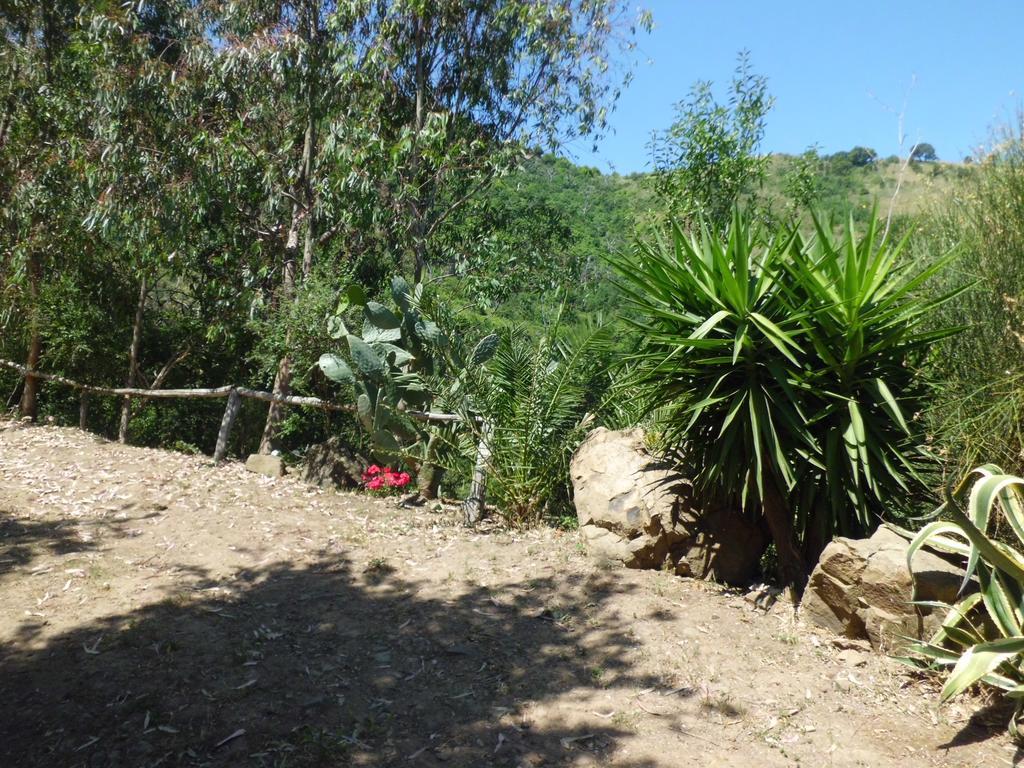 Casa Batia *