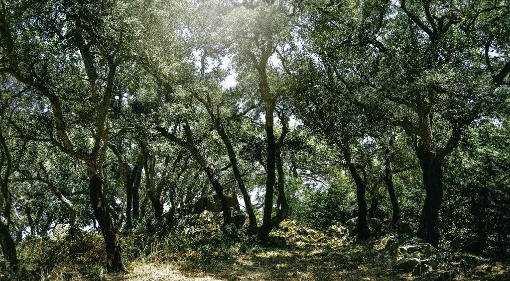 Vallegrande Nature By Geocharme Hotel Cefalu