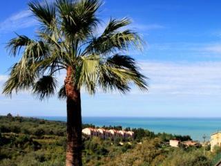 Bouganville