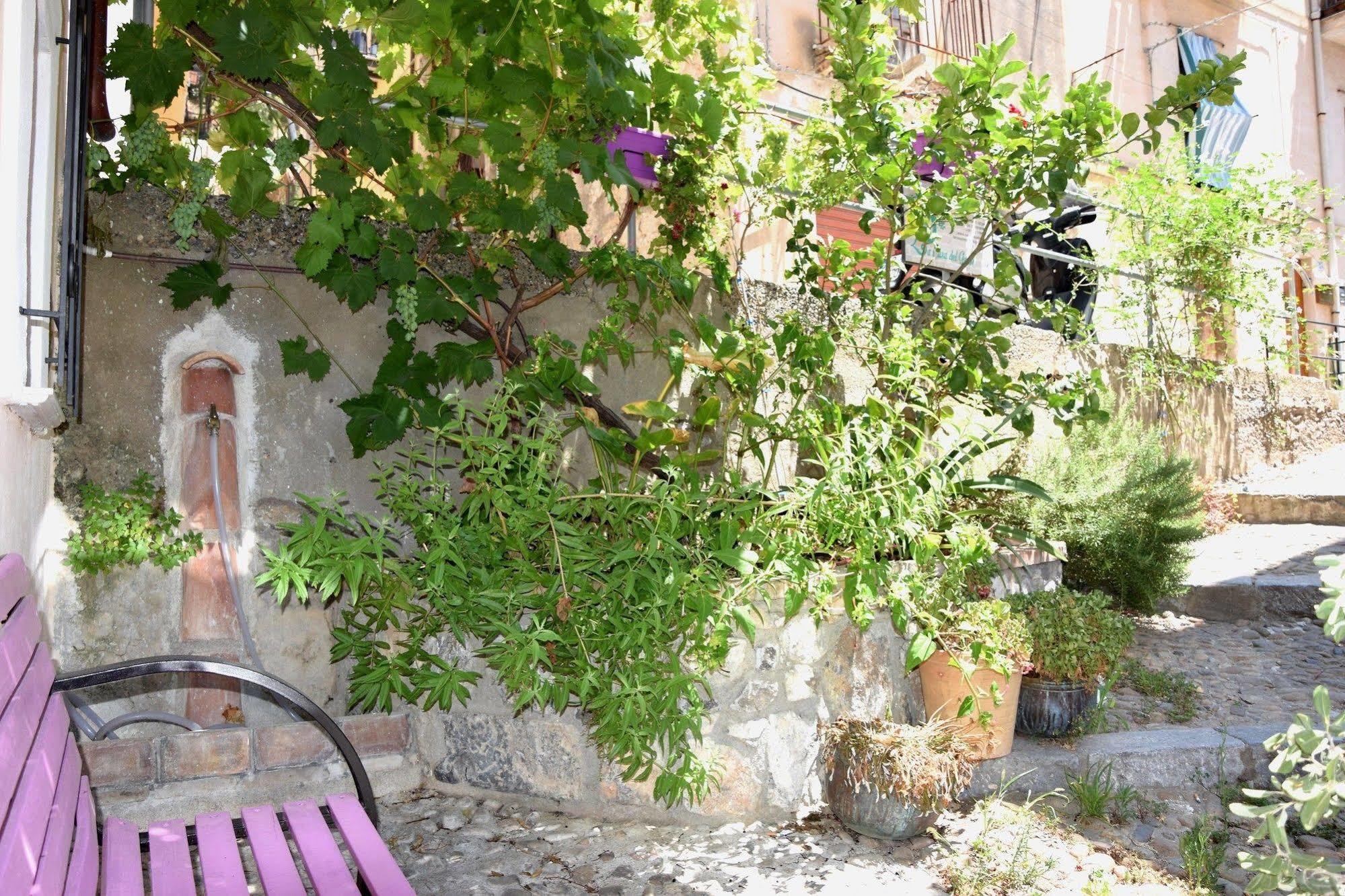 Bed & Breakfast La Casa Del Geko *