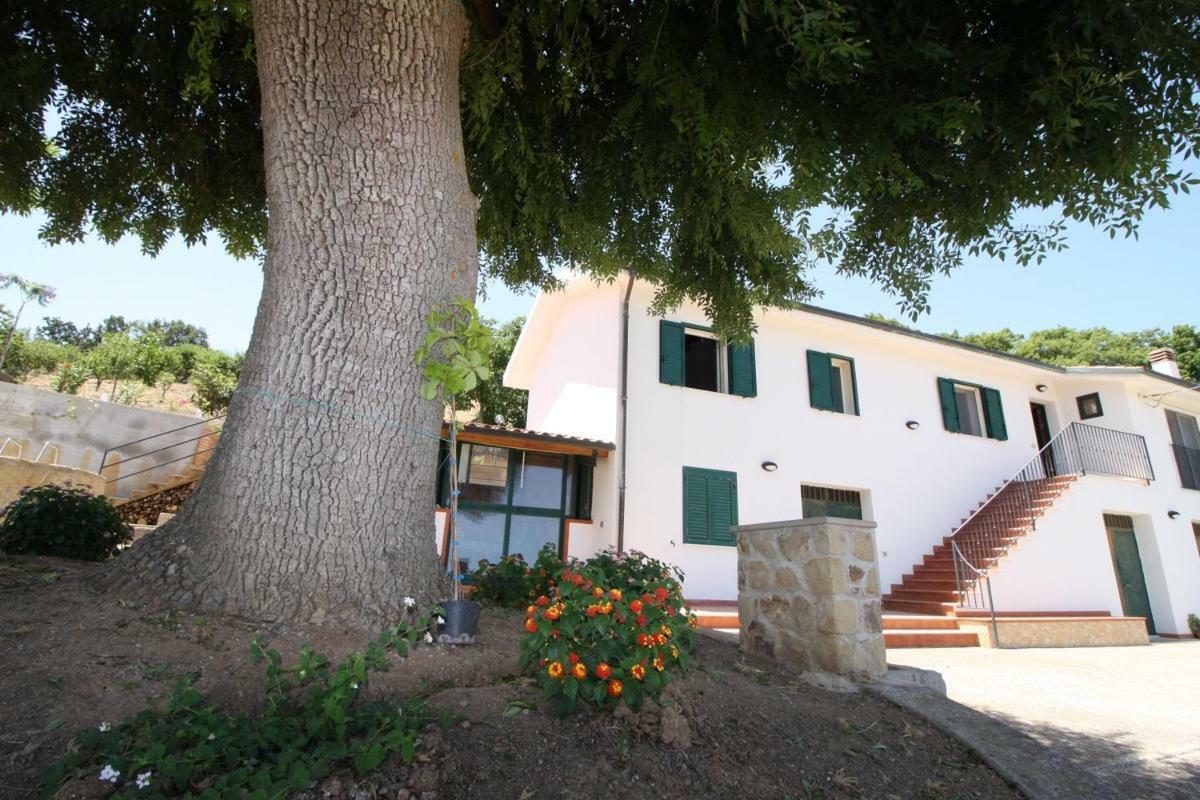 I Glorioso - Casa Vacanza Holiday home