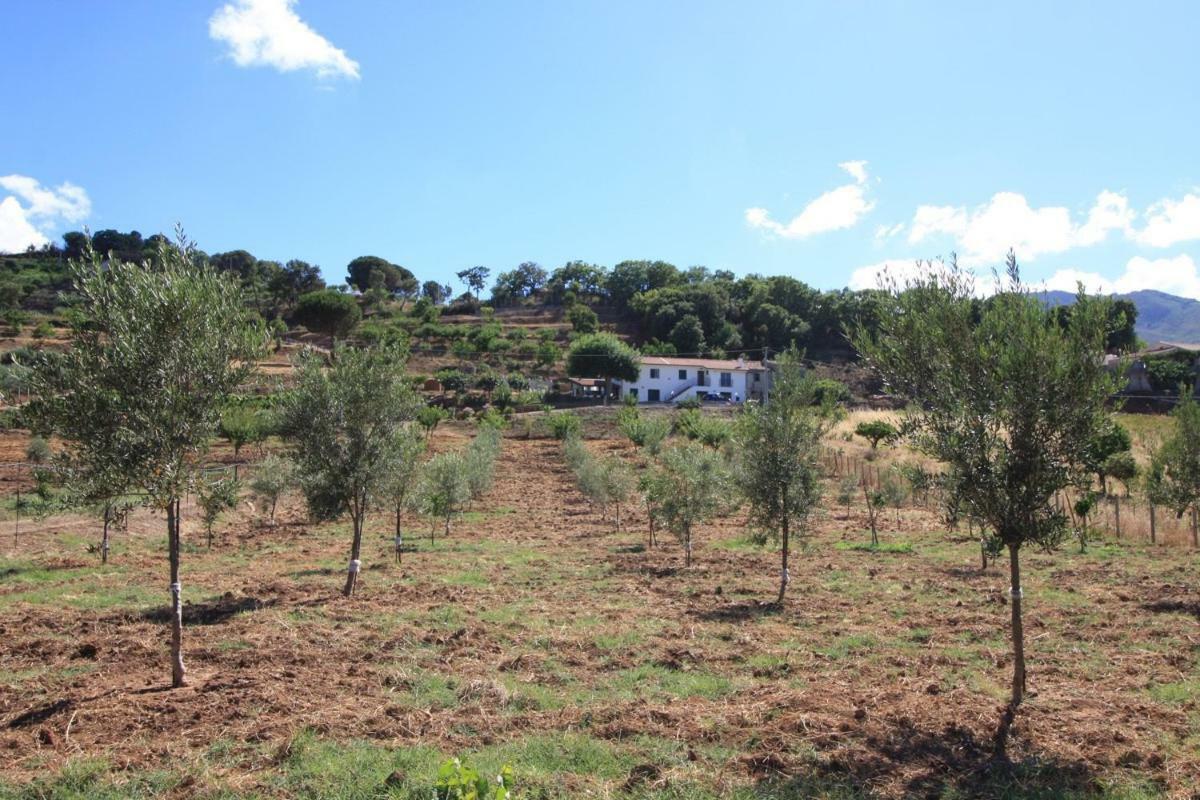 Holiday home I Glorioso - Casa Vacanza