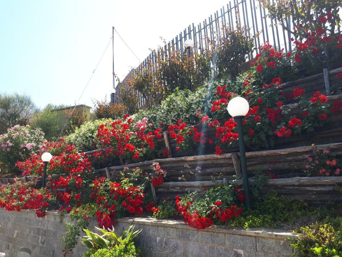 Sweet House Of The Flowers *