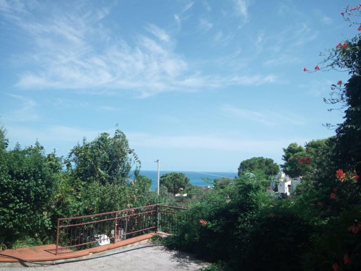 Stanza In Con Giardino Vista Mare Frühstückspension *