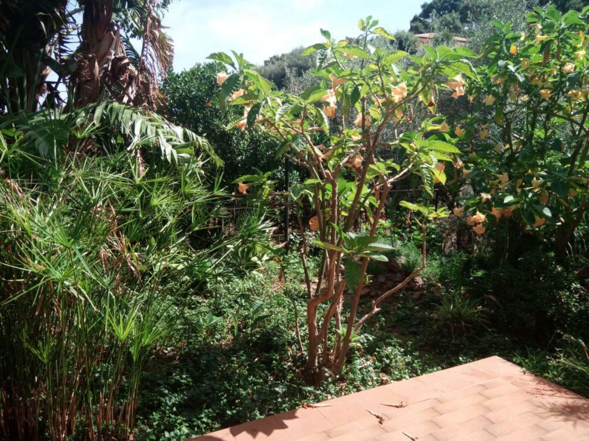 Stanza In Con Giardino Vista Mare Acomodação com café da manhã 