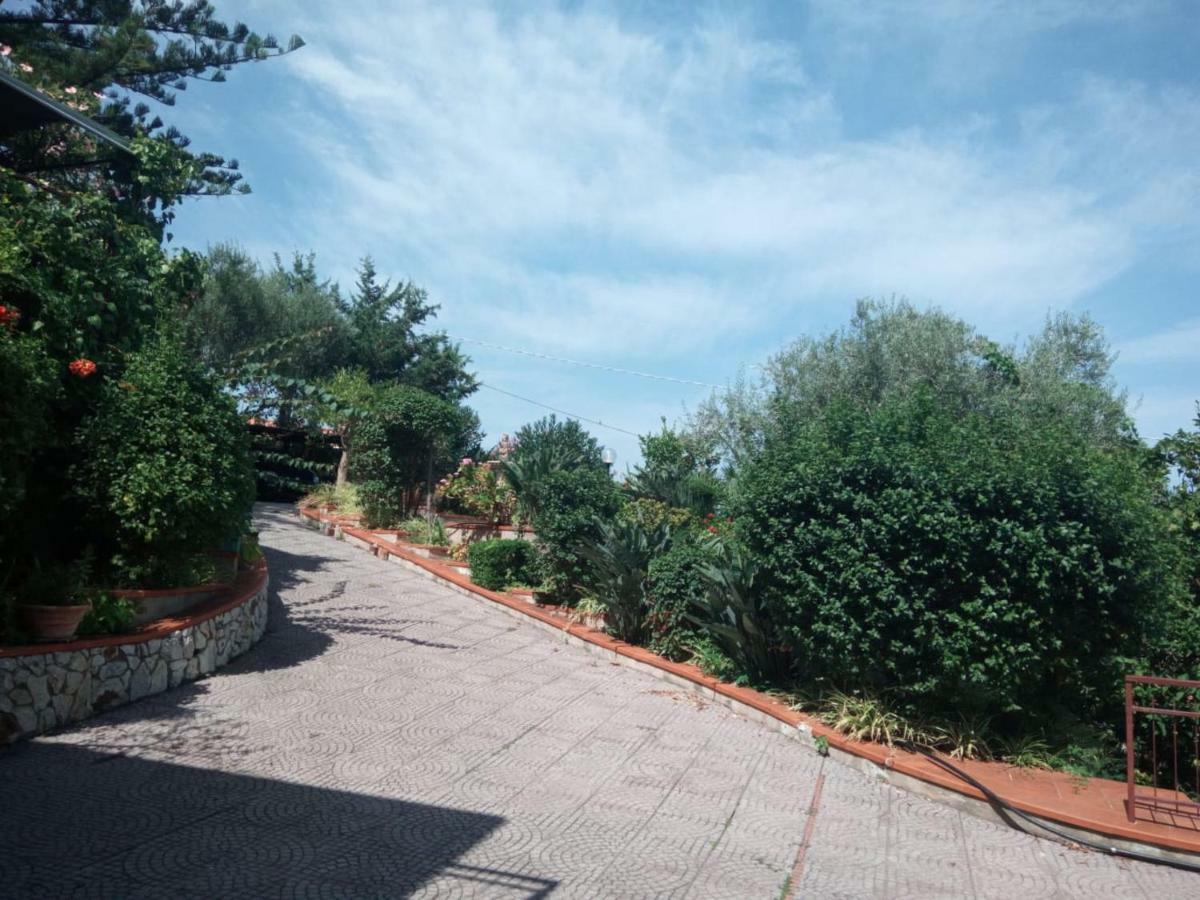 Stanza In Con Giardino Vista Mare Cefalù
