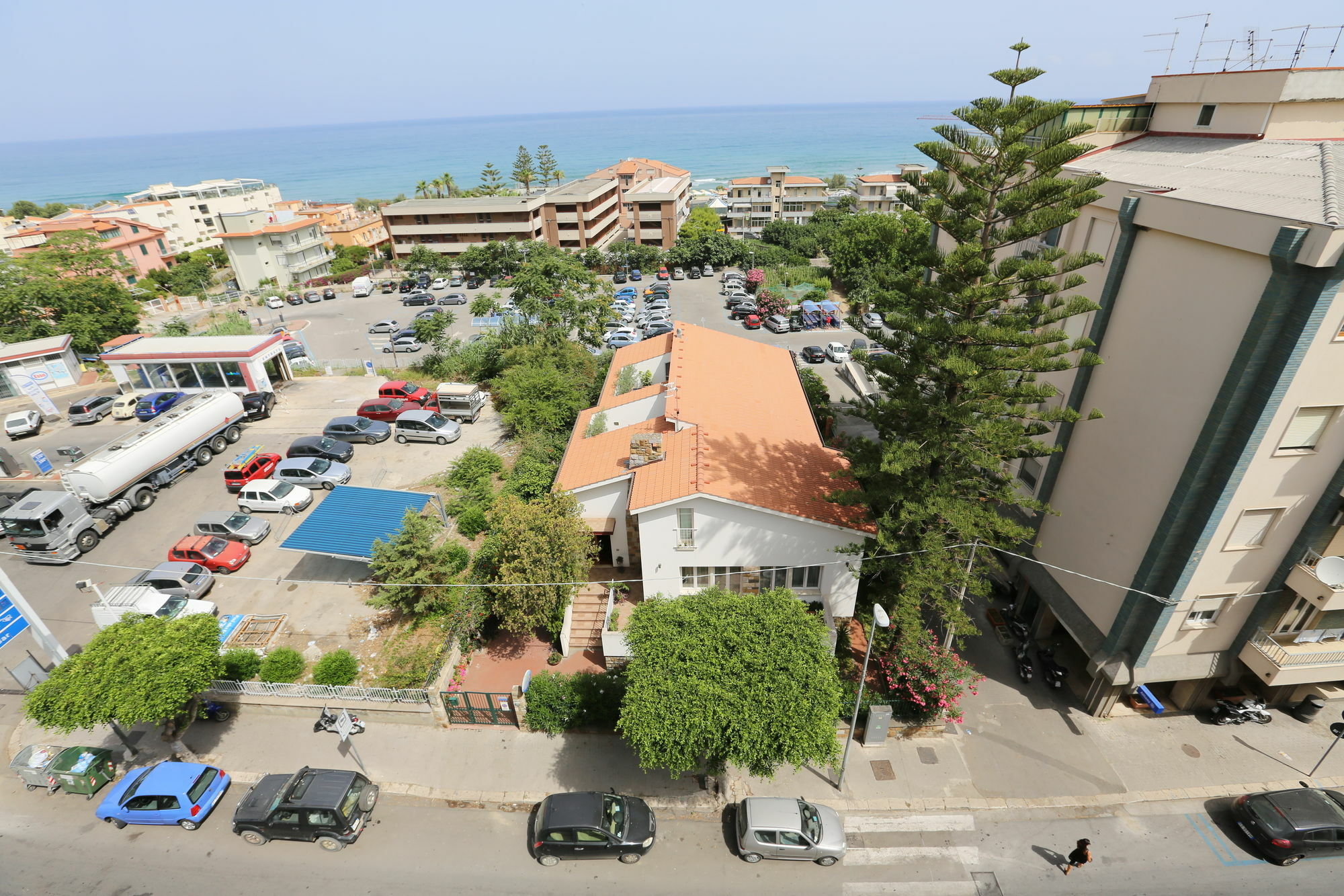 Lumachella
