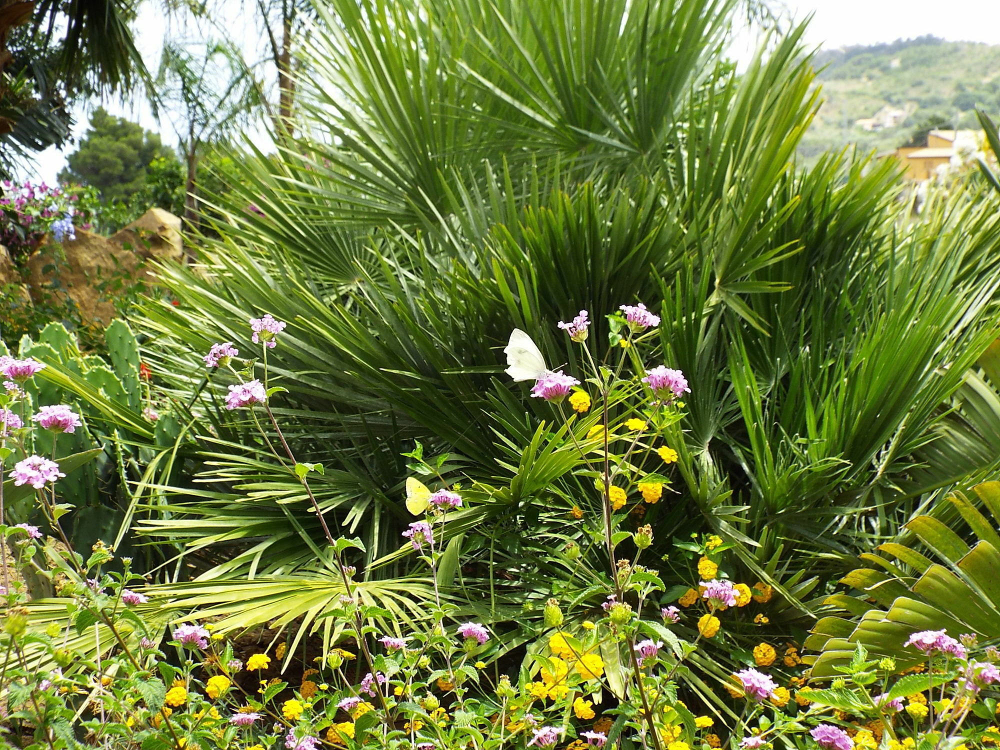 Villa Agriturismo Cefalu Guest House Cefalu