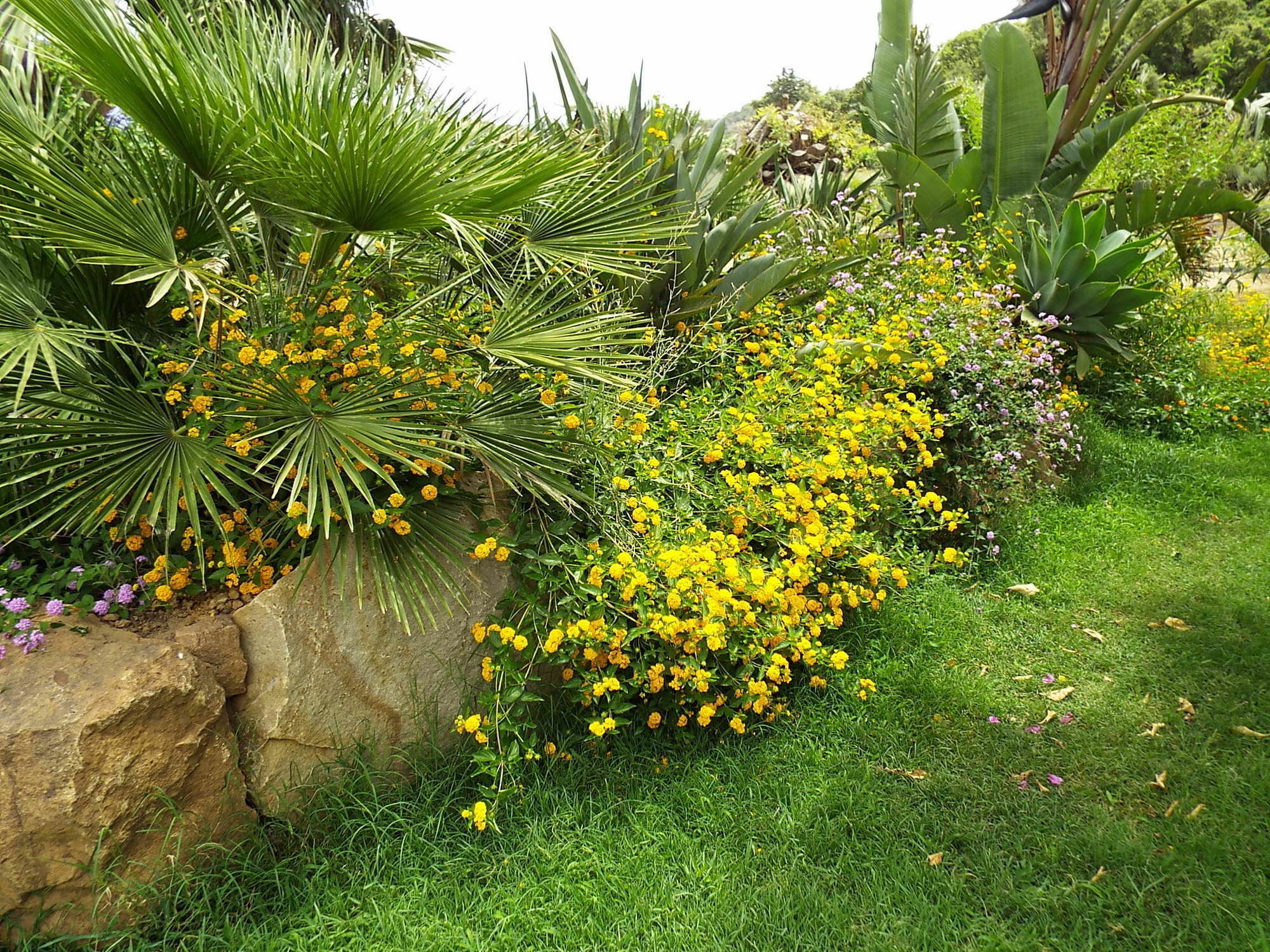 Agriturismo Cefalu Guest House Villa Cefalu