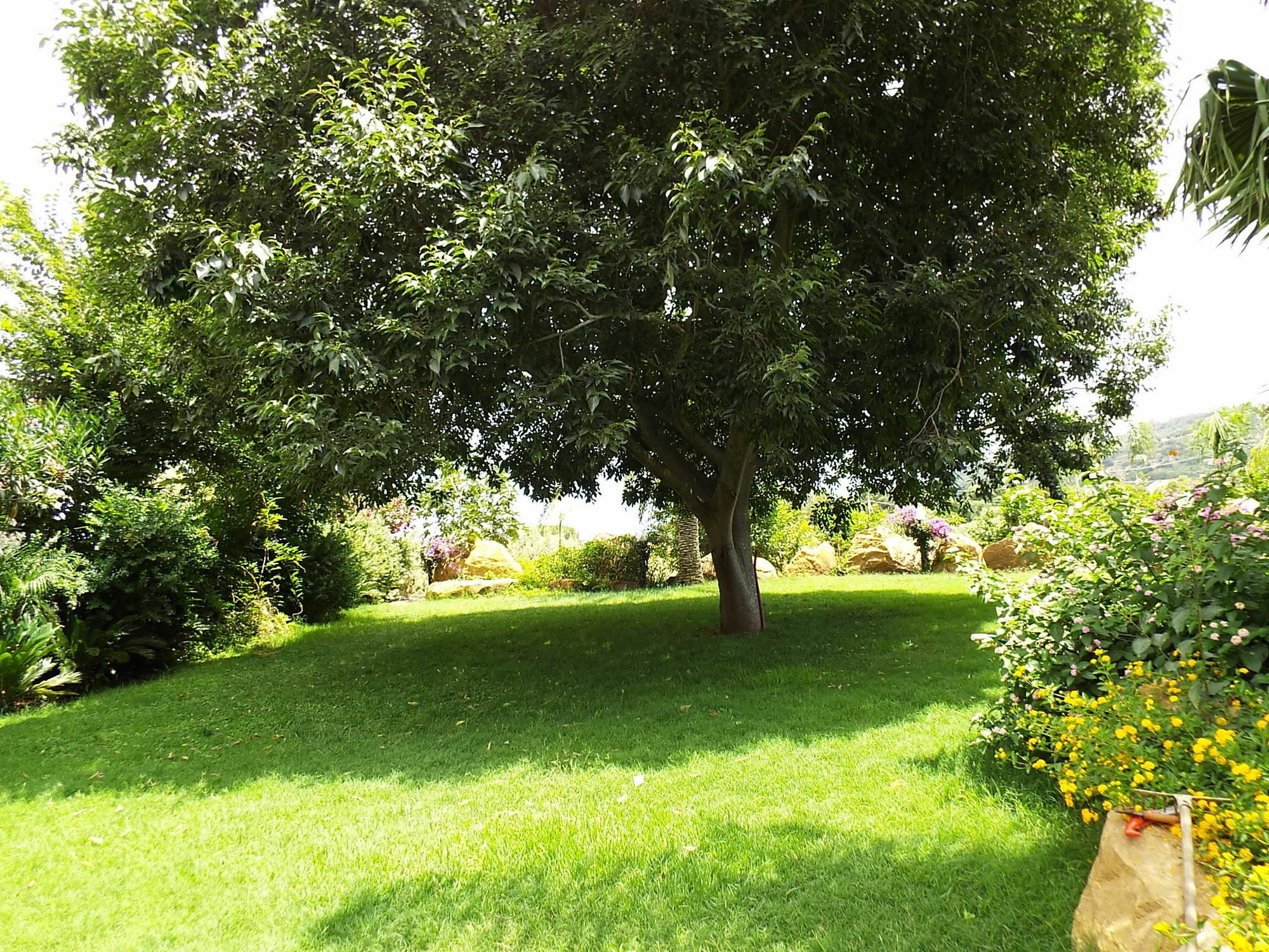 Agriturismo Cefalu Guest House Cefalu
