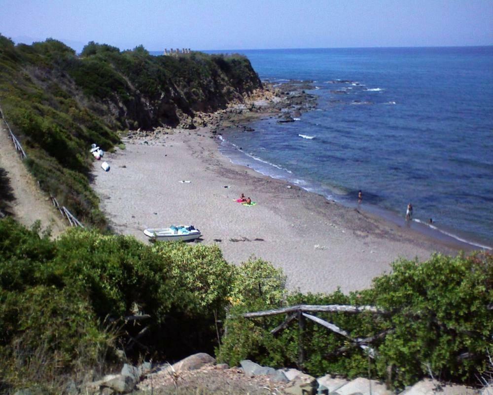 Gaia Cefalu