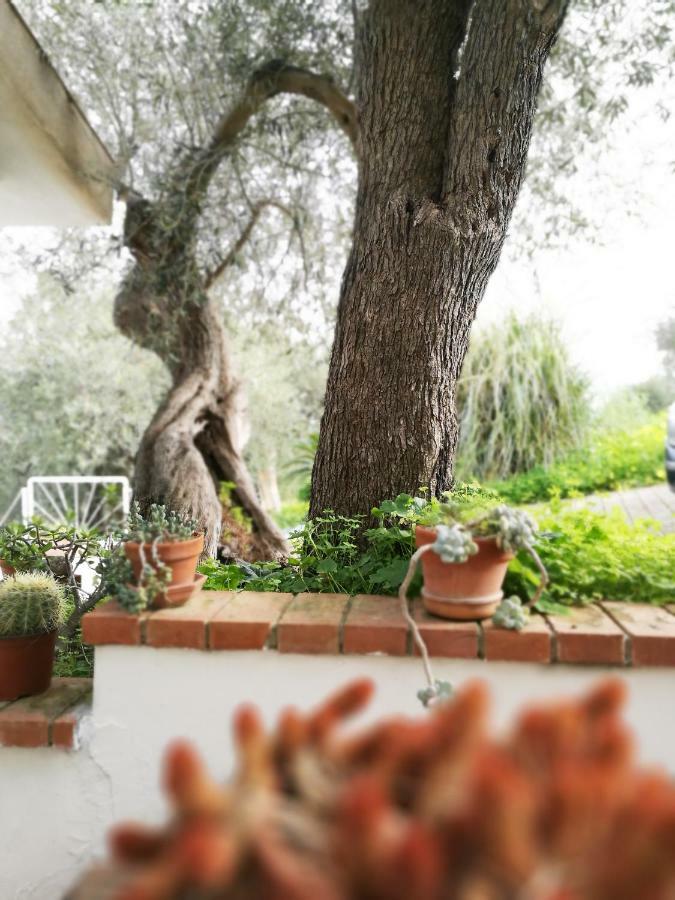 Villa Casa Di Giulia *