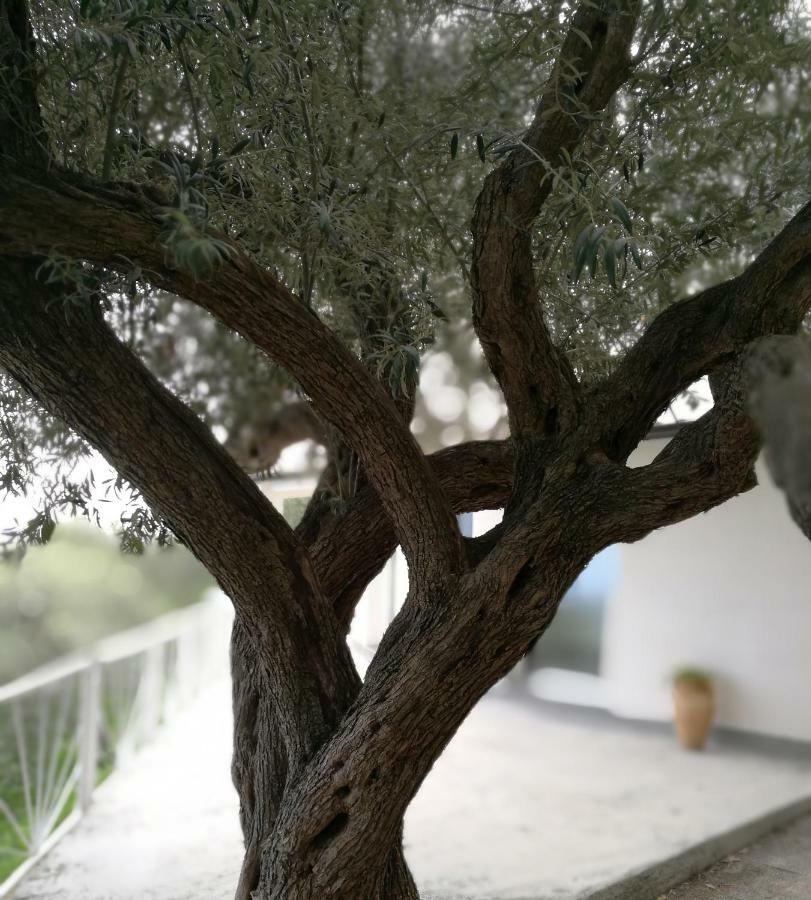 Casa Di Giulia Cefalu