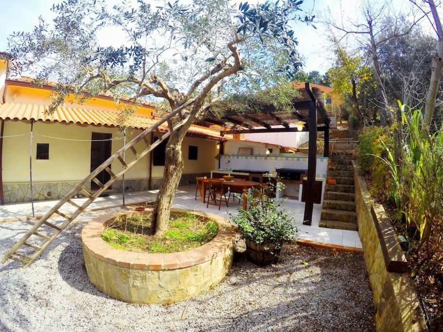 Del Bergamotto Villa *