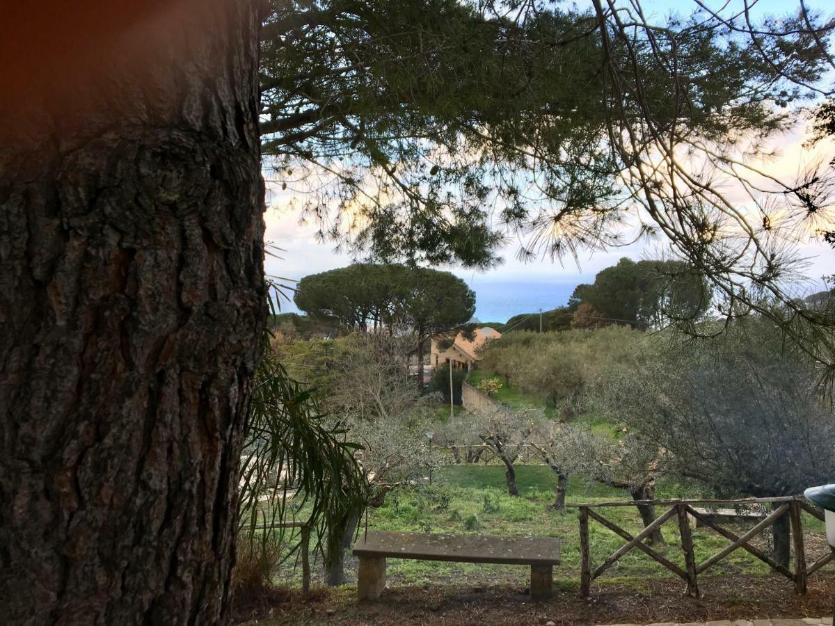 Villa Del Bergamotto Cefalu