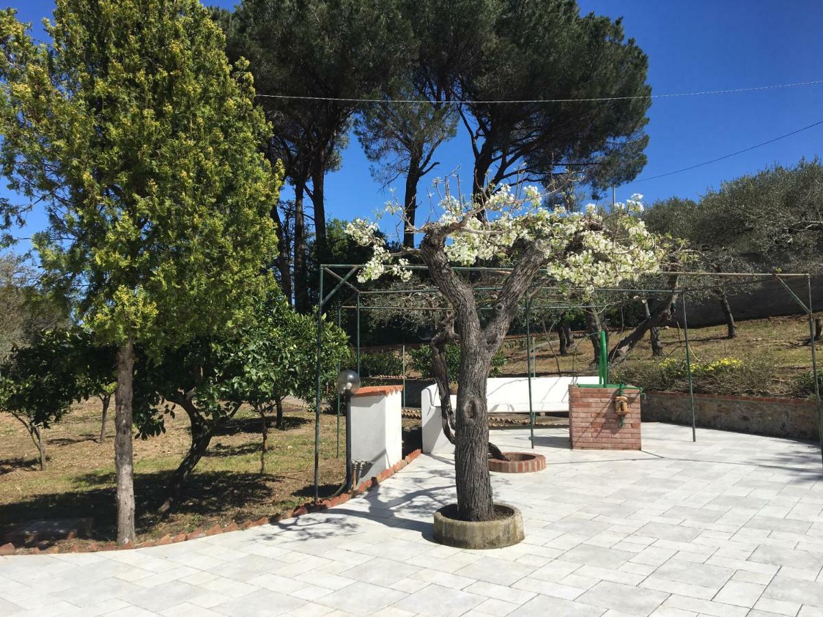 Villa Del Bergamotto *