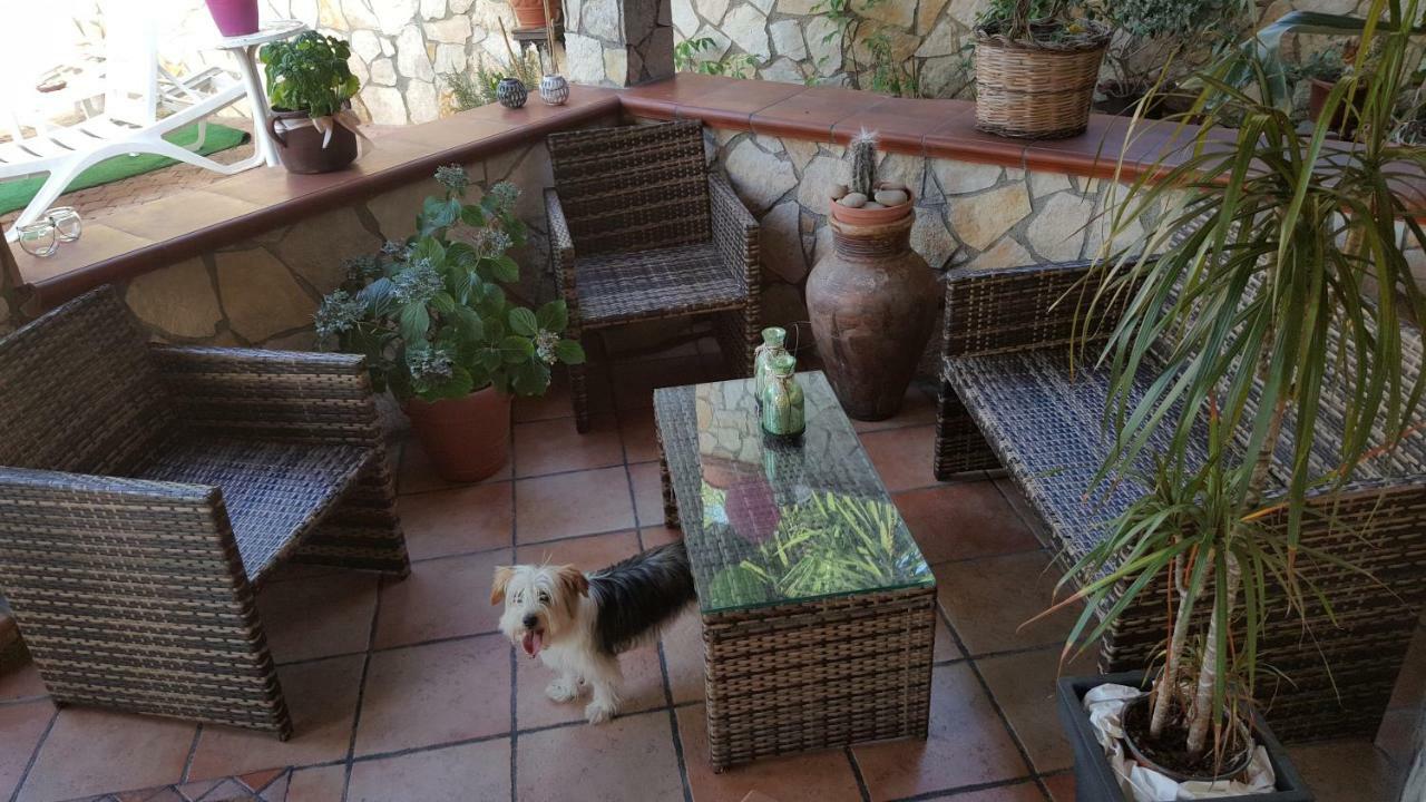Vintage House Holiday home *