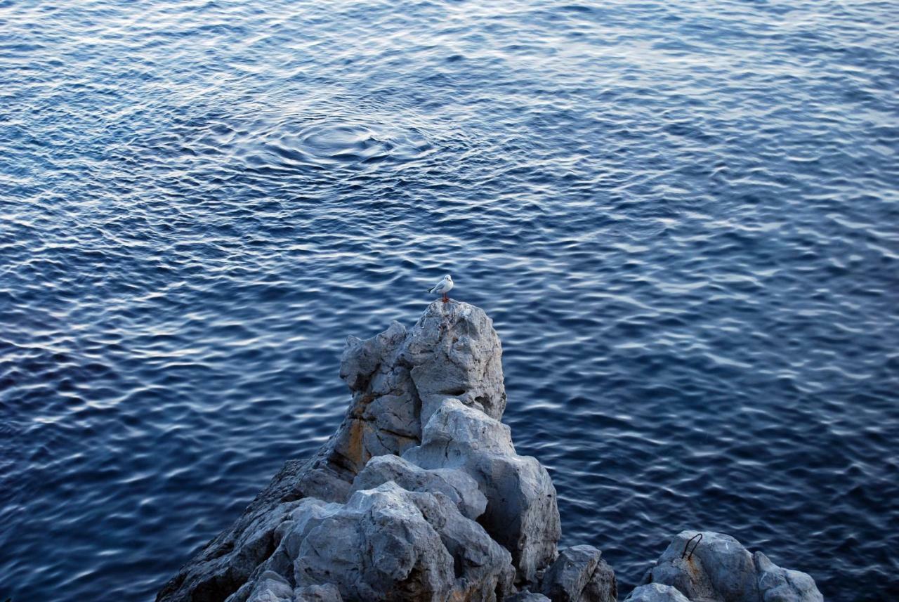 Apartment Casalmare