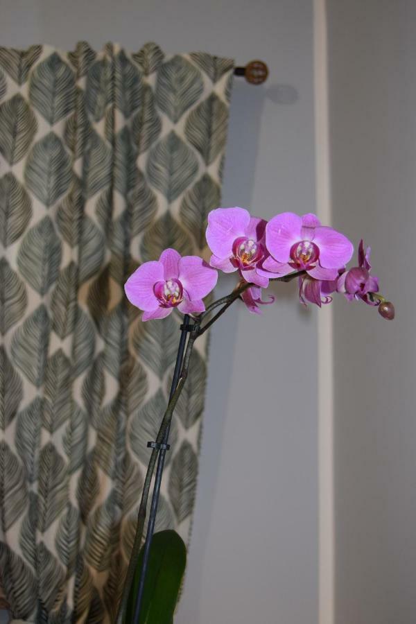 Apartment Domunua House *