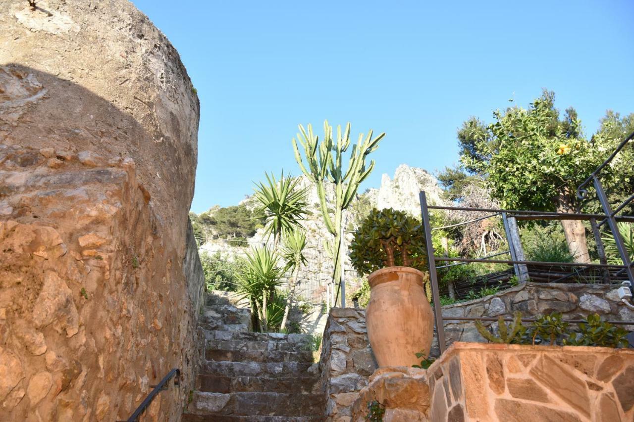 Il Mulino