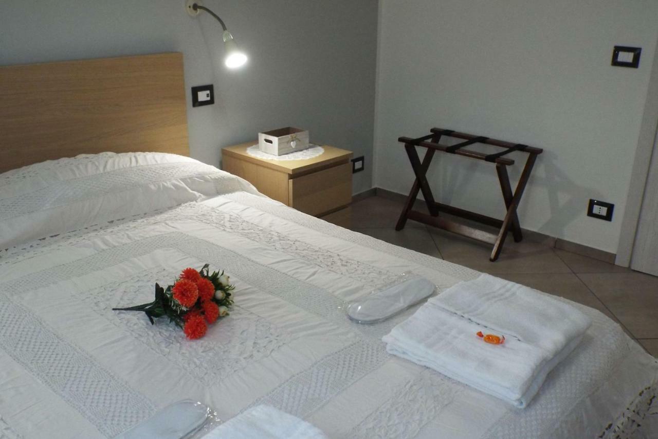 Studio And Apartamento