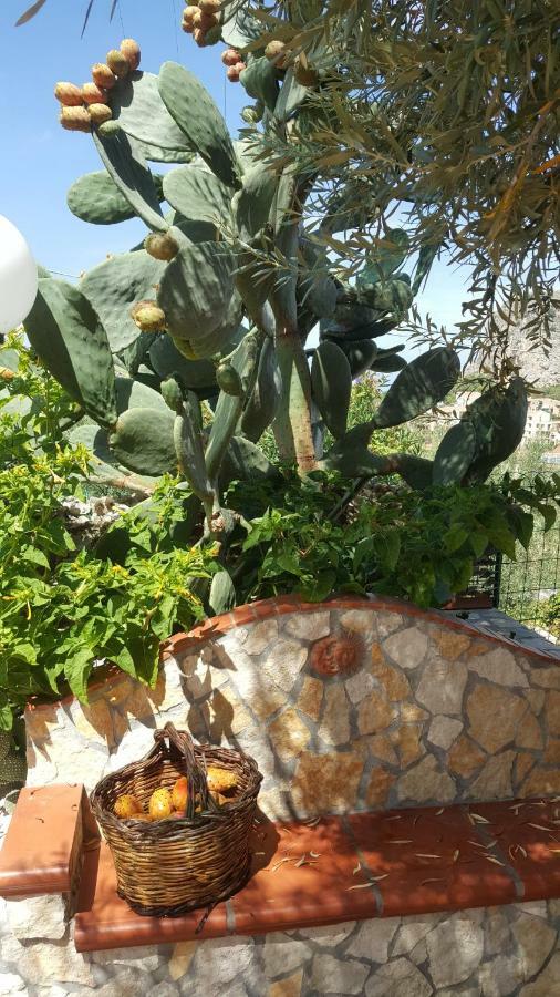 Vintage House Holiday home Cefalu