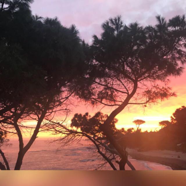 Le Terrazze Sul Mare - Capo Aranciotto * Cefalu