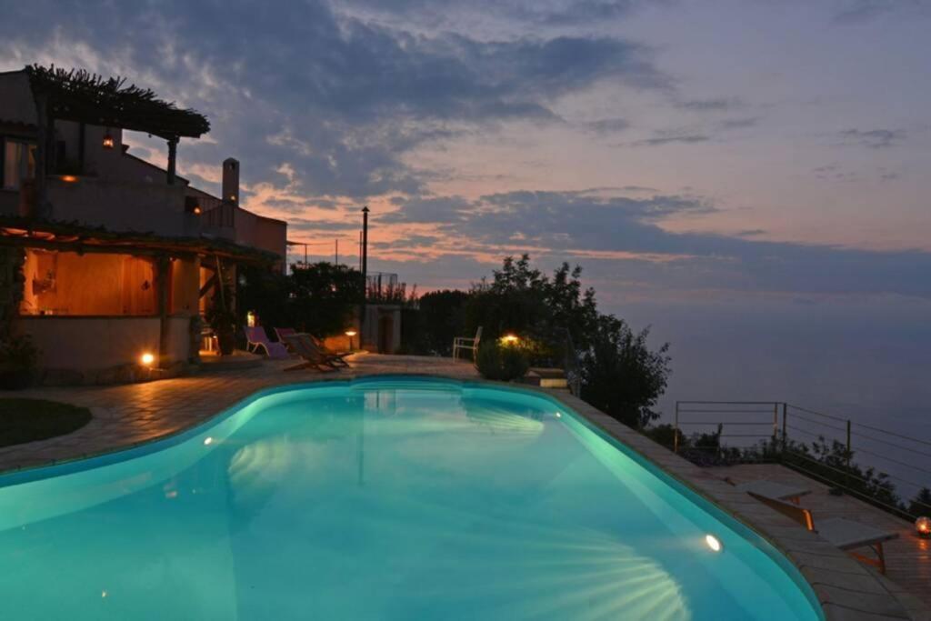 Cipressi