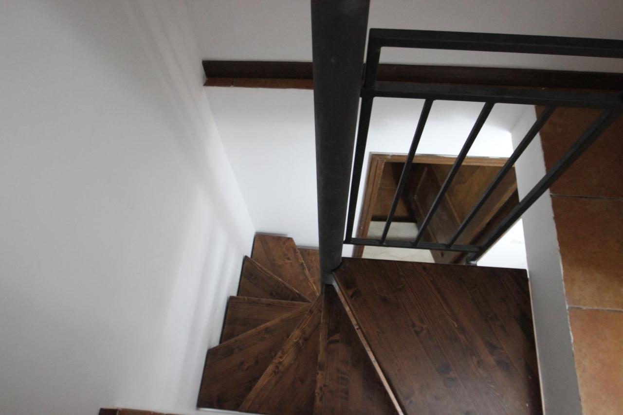 Apartment Ace Studio
